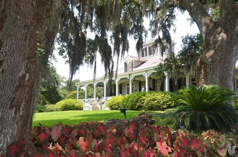 Rip van winkle gardens - Rip Van Winkle Gardens, New Iberia, Louisiana. 11,287 likes · 186 talking about this · 22,858 were here. Beautiful semi-tropical gardens located on Jefferson Island. Between The little town of...